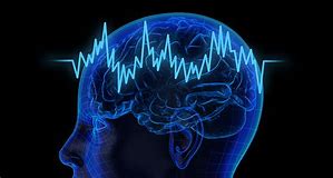 brain waves